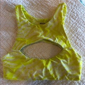 Mikoh Marrakesh Bikini Top in Lilikoi Fern Print